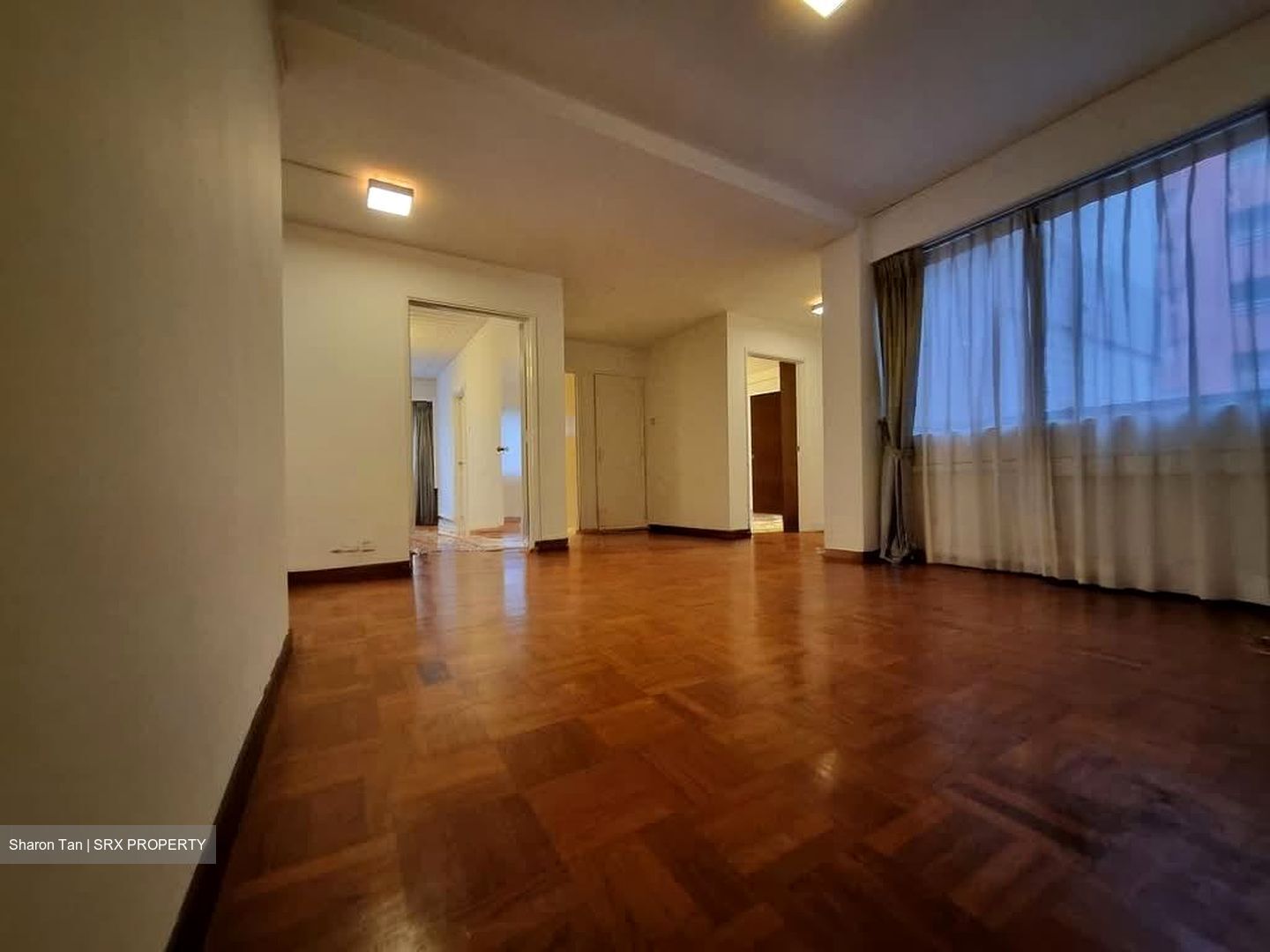 The Cairnhill (D9), Condominium #556177681